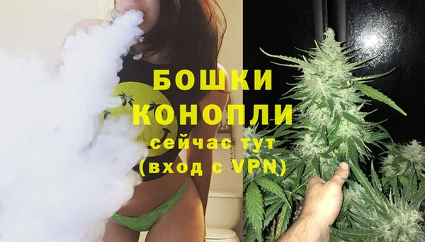 гидра Пересвет