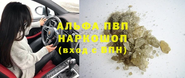 гидра Пересвет