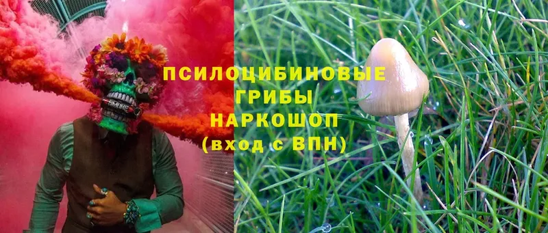 Галлюциногенные грибы MAGIC MUSHROOMS  Сорочинск 