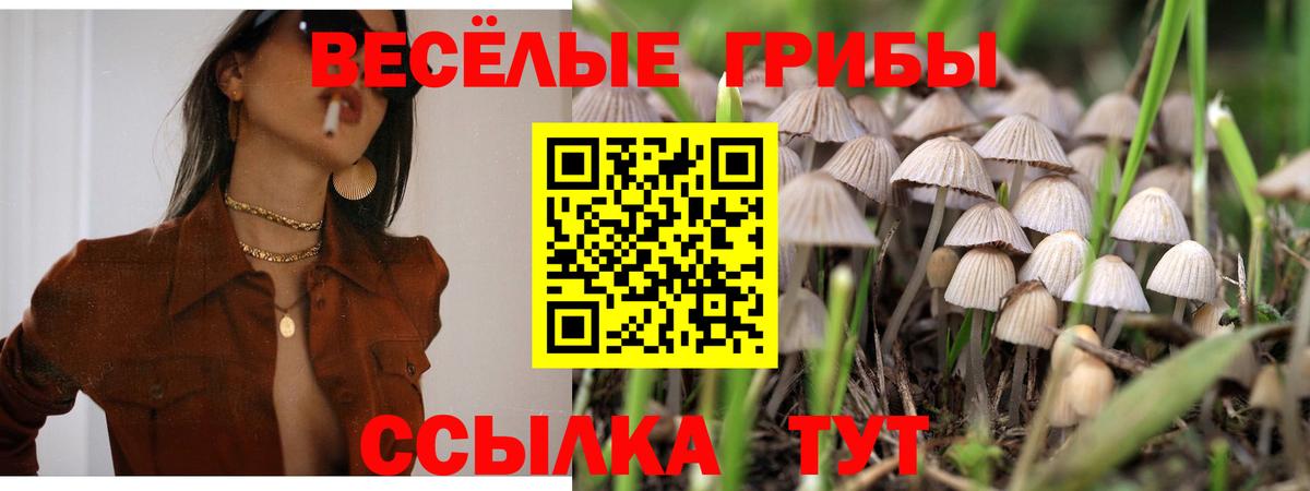 Псилоцибиновые грибы мухоморы Сорочинск